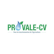 PROVALE CV