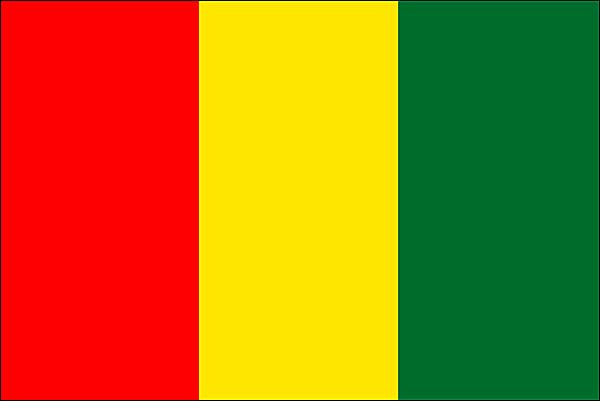 Pi Business 1009502 Drapeau de la Guinee