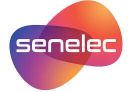 Senelec Pi Business Info